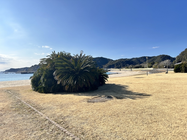 和歌山県古座川町の海岸