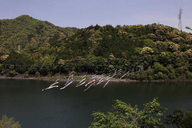 日高川町の鯉のぼり